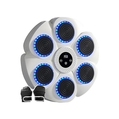 Smart Boxing Trainer